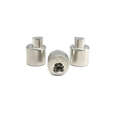 El tornillo posterior 4.9X10.5 de Axle Eccentric Adjusting Stainless Steel pulió SUS304