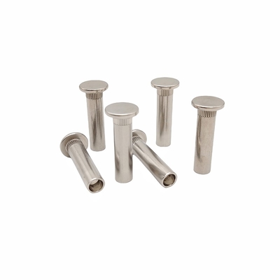 Las partes de forma especial de remaches huecos de acero inoxidable con remaches huecos no estándar.