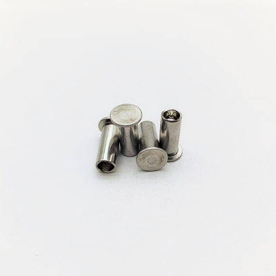 316 Rivets marinos de acero inoxidable M5-M12 Cabeza plana 40% hueca
