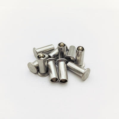 316 Rivets marinos de acero inoxidable M5-M12 Cabeza plana 40% hueca