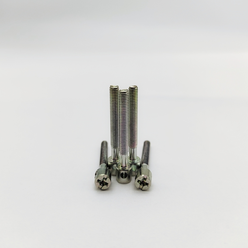 Parafusos de medidores de acero inoxidable de grado marino de 316 - A prueba de alteraciones M4 M5 M6