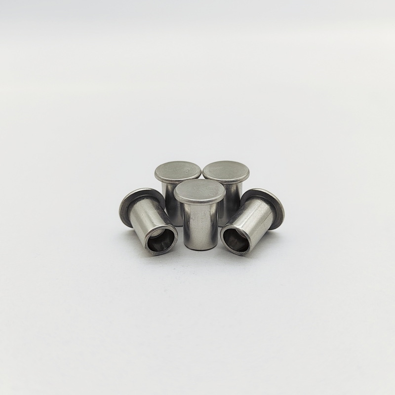 Rebites de acero inoxidable 316L de cabeza plana semitúbulos ISO 15977