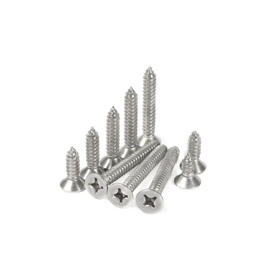 304 de acero inoxidable, parafusos de autoadhesión en relieve, cruz contrafundida M5 M6 M8