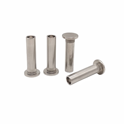 Las partes de forma especial de remaches huecos de acero inoxidable con remaches huecos no estándar.