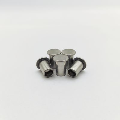 Rebites de acero inoxidable 316L de cabeza plana semitúbulos ISO 15977