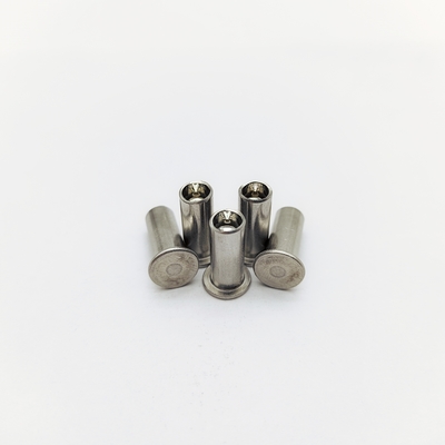 316 Rivets marinos de acero inoxidable M5-M12 Cabeza plana 40% hueca
