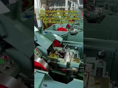 M5x6 de acero inoxidable Oval cabeza de máquina tornillos, 8,38g de ranuras de queso cabeza de tornillo