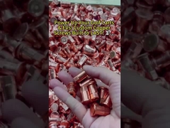 Parafusos de resistencia de acero inoxidable