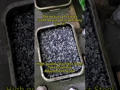 Parafusos excéntricos Torx